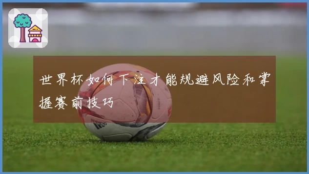 世界杯如何下注才能规避风险和掌握赛前技巧