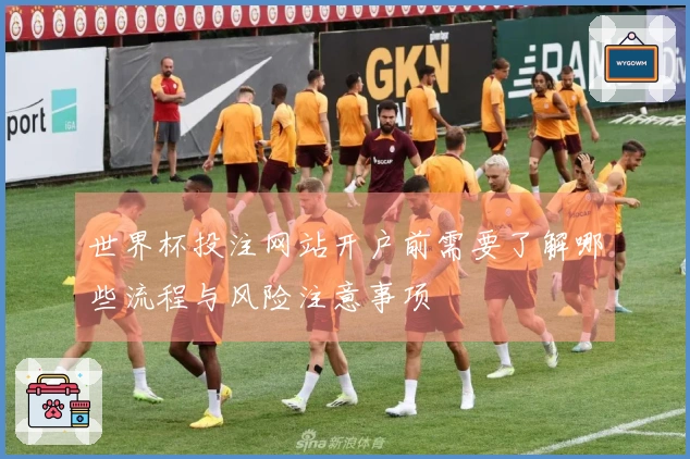 世界杯投注网站开户前需要了解哪些流程与风险注意事项