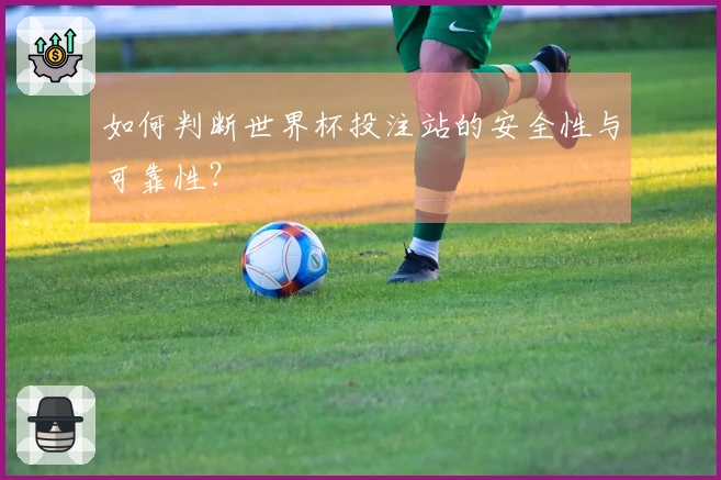如何判断世界杯投注站的安全性与可靠性？