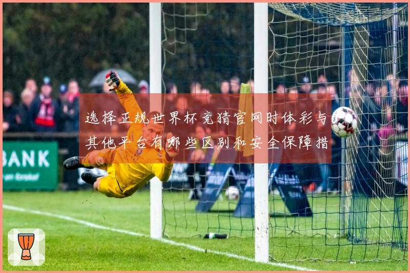 选择正规世界杯竞猜官网时体彩与其他平台有哪些区别和安全保障措施
